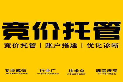 百度SEO推广：从零到一的成长案例